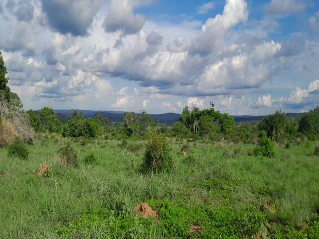 #6 - Chácara para Venda em Confresa - MT